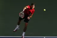 Del Potro retiró Roddick en su tierra
