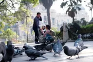 El proyecto de los niños fue al Concejo Deliberante