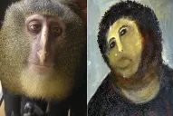 La nueva especie de mono descubierta se parece al Ecce Homo arruinado