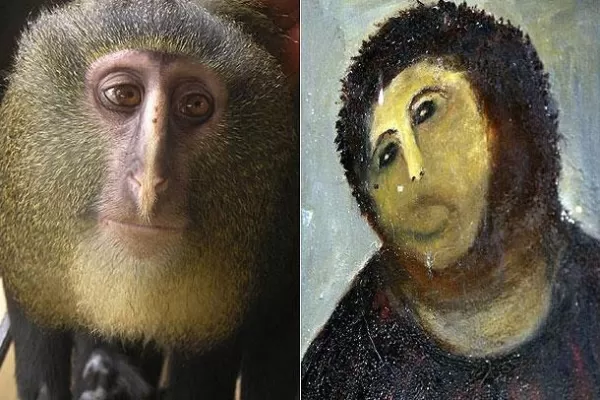 La nueva especie de mono descubierta se parece al Ecce Homo arruinado