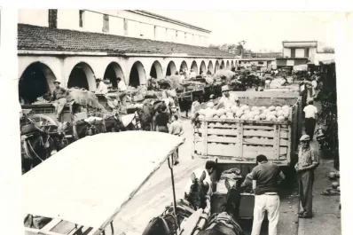 El Mercado fue escenario económico y social del Tucumán de todo el siglo XX