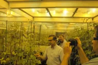 Argentina es un país líder en la adopción de biotecnología