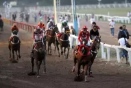 Incurable Rebel, un gran campeón