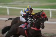 El Terito, un cuadrero de primer nivel