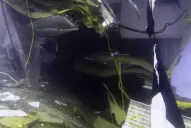 Video animado de cómo fue el accidente del crucero italiano