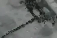 Video: una cámara infrarroja captó la evacuación del Costa Concordia