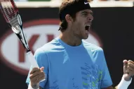 Del Potro toma ritmo y Nalbandian quedó afuera