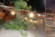 Más de 30 árboles no resistieron el viento y bloquearon las principales avenidas de la capital