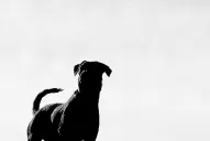 Sebastián