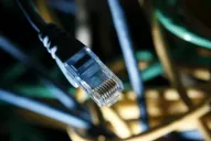 El jueves podrían borrarse hasta los datos legales de Megaupload