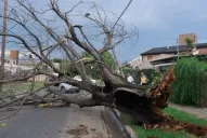 Córdoba: decretan el estado de alerta por 72 horas tras el temporal