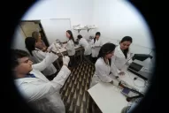 Dulce como el mistol 