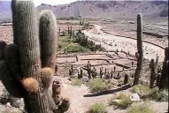 De la soledad de la puna a la farmacia