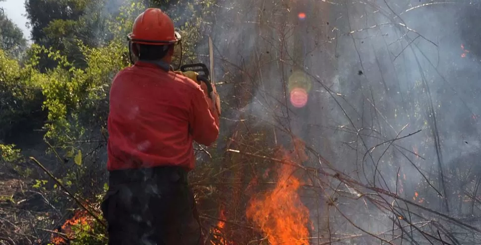 SEQUIA. Las condiciones climáticas impiden apagar el incendio. DYN