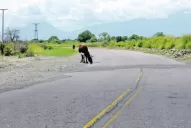 La misma ruta, distinto aspecto