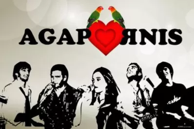 Agapornis, la cumbia cheta