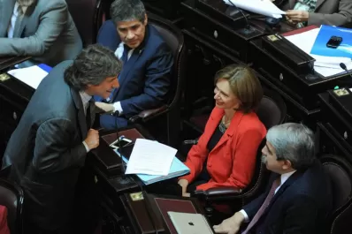 El Congreso instó a las fuerzas de seguridad a actuar con pautas democráticas