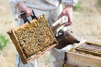 Emprendedores y cooperativistas compartirán sus experiencias