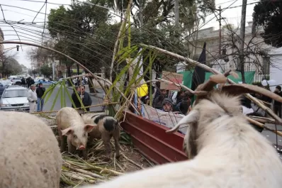 Un triunvirato dirigirá la Escuela de Agricultura