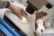 Otro paso para llegar al ansiado elixir de la juventud