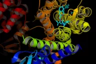 Qué son los receptores acoplados a proteínas G