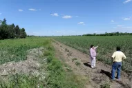 No es un sueño, tampoco una locura