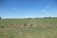 Al estadio único de Famaillá lo usaríamos dos o tres partidos por año