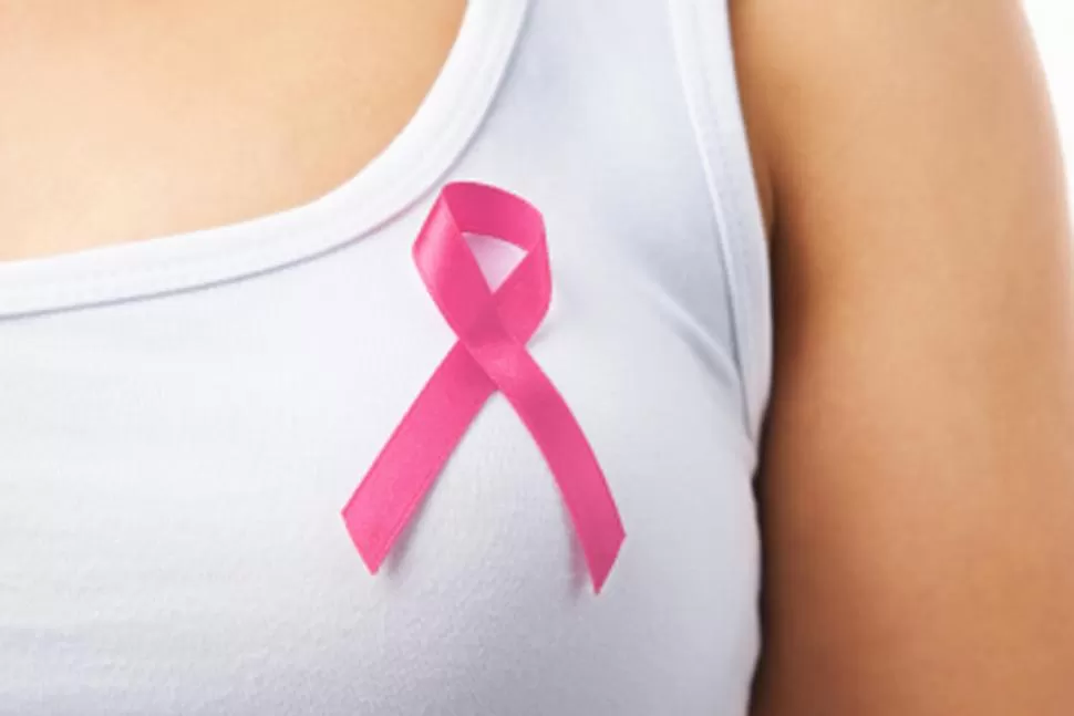 EL LAZO ROSA. Símbolo de adhesión a la lucha contra el cáncer de mama. 