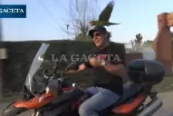 El mejor amigo del hombre: Beto, el loro tucumano