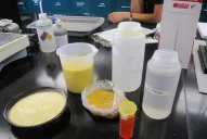 Argentina está en condiciones de producir y exportar