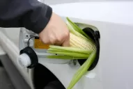 El etanol de maíz integra energía con alimentos