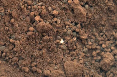 Curiosity se tragó su primera muestra marciana