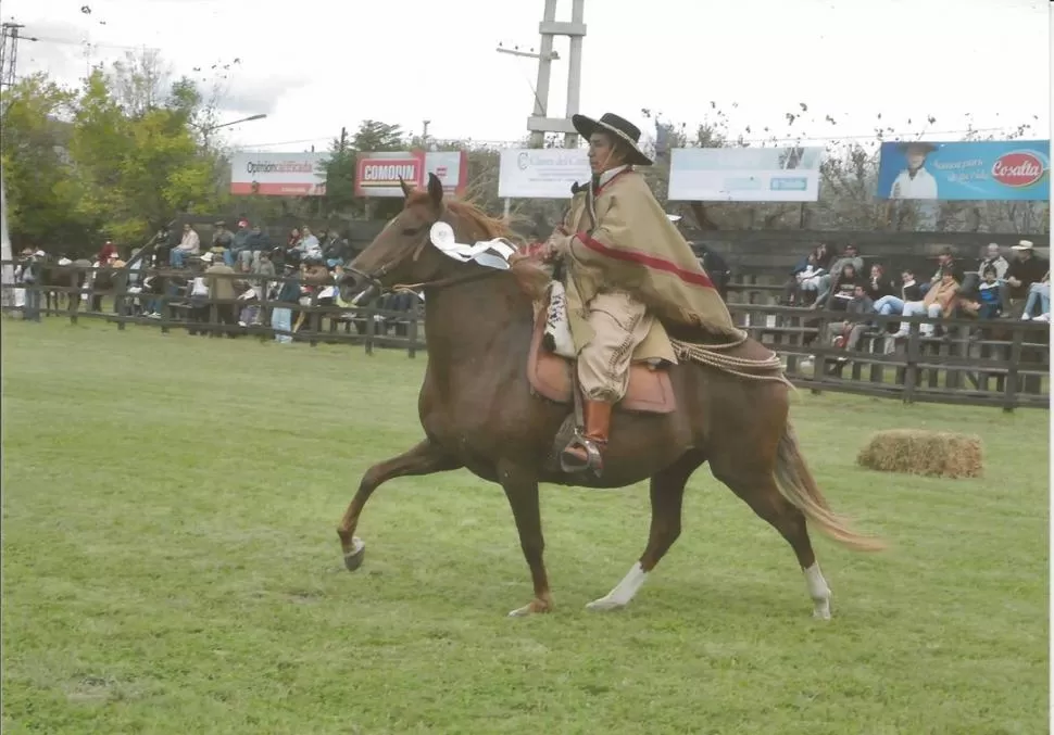 CRECIMIENTO. El caballo peruano de paso es de los preferidos en Tucumán. LA GACETA / ARCHIVO