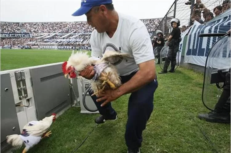 INTERRUPCION. El partido comenzó unos minutos más tarde y los colaboraboradores de Quilmes tuvieron que atrapar a las aves. FOTO TOMADA DE CANCHALLENA.COM