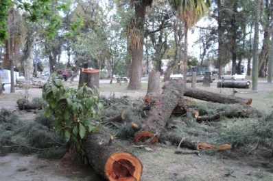 Arbitrariedad, ignorancia y atropello