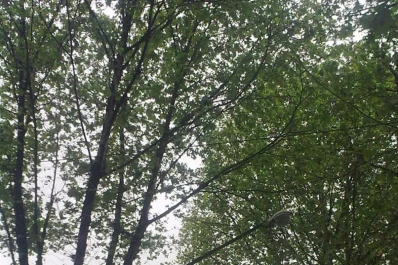 Los 'monstruos' de General Paz al 1.200