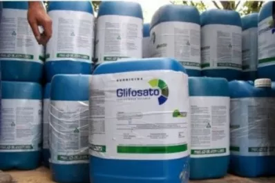 Es importante el buen empleo de herbicidas