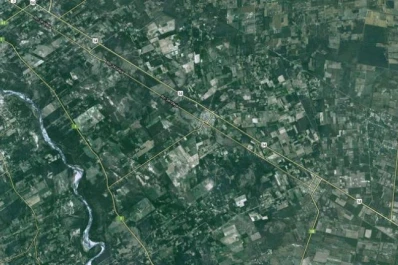 Un productor murió atacado por abejas en Santiago del Estero