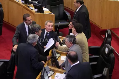 Otra firma recibirá un subsidio directo del PE
