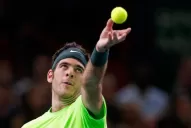 Del Potro ya tiene sus rivales para el Masters de Londres