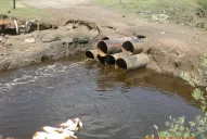 Ocho ingenios arrojaron desechos industriales