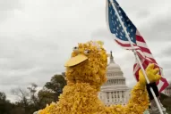 Los Muppets y los muñecos de Plaza Sésamo marcharon contra Romney