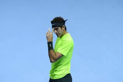 Del Potro cayó ante David Ferrer en Londres