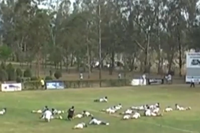 Salta: un tiroteo causó pánico en un partido de rugby