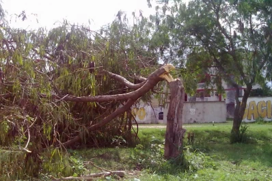 Víctimas de la ignorancia