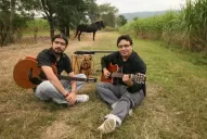 Ritmos para todos los gustos