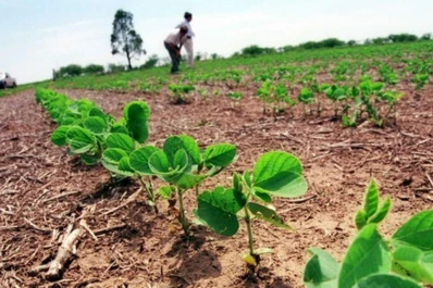 Verificar la humedad del suelo y estar preparados son las primeras tareas después de las lluvias