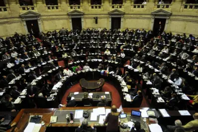 El per saltum, una iniciativa de Cristina, llega a Diputados