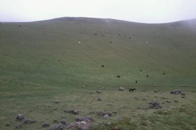 Esto es vida...paz y salud