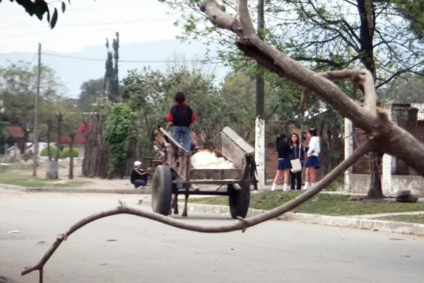 Por culpa de un grupo de malvivientes nos meten a todos en la misma bolsa